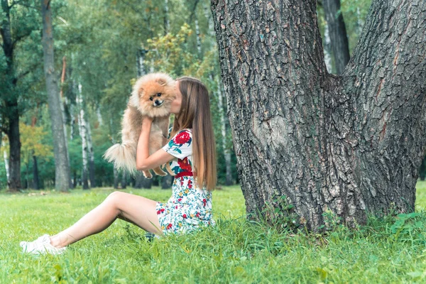 A girl is walking with a park with a dog. Pomeranian Spitz — Stock Photo, Image