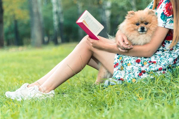 A girl is walking with a park with a dog. Pomeranian Spitz — Stock Photo, Image
