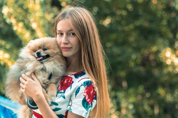 En flicka går med en park med en hund. Pomeranian Spitz — Stockfoto