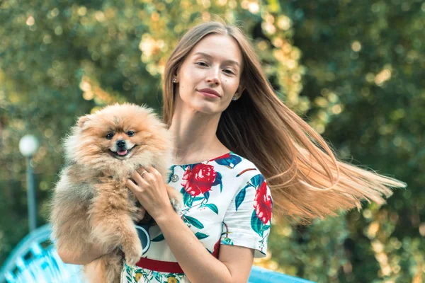 Uma menina está andando com um parque com um cachorro. Spitz da Pomerânia — Fotografia de Stock