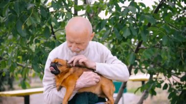 Dedesi ile bir köpek doğurmak Griffon