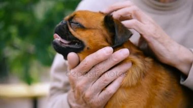 Dedesi ile bir köpek doğurmak Griffon