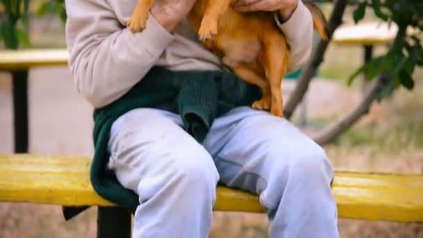 Grandfather with a dog of the Griffon breed — Stock Video