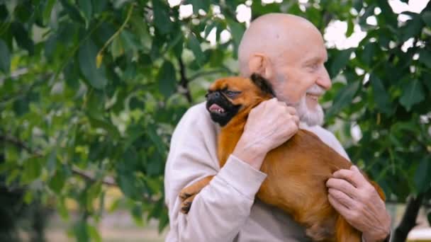 Großvater mit einem Hund der Rasse Gänse — Stockvideo