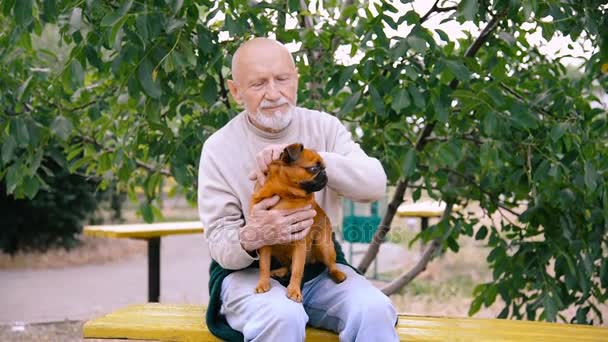 Abuelo con un perro de la raza Griffon — Vídeo de stock