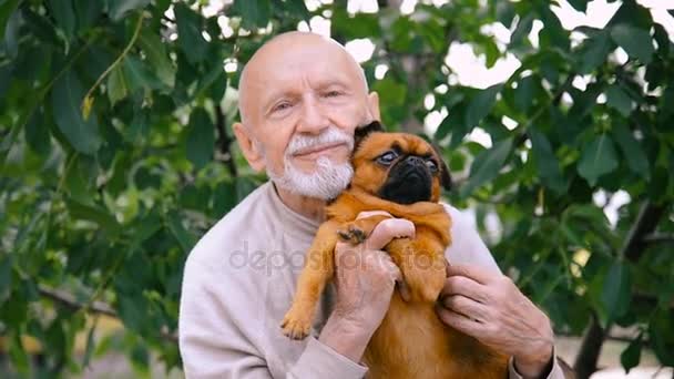 Дедушка с собакой породы Гриффонов — стоковое видео