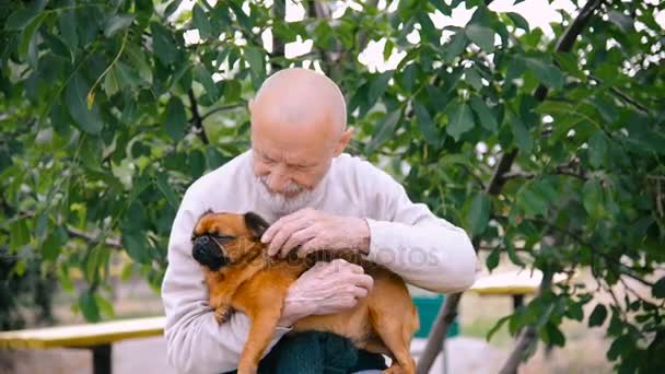 Großvater mit einem Hund der Rasse Gänse — Stockvideo