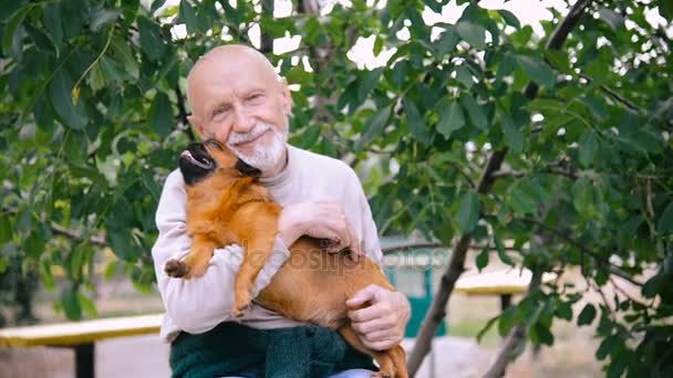 Abuelo con un perro de la raza Griffon — Vídeo de stock