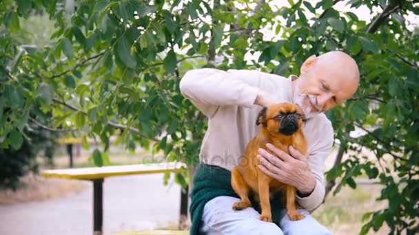 Grand-père avec un chien de la race Griffon — Video