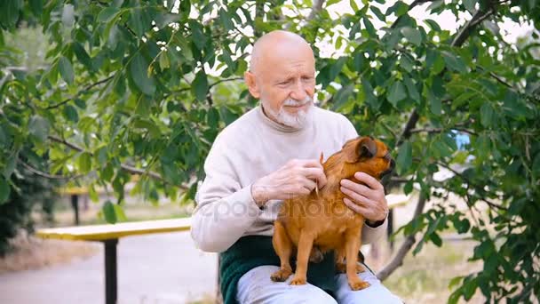 Großvater mit einem Hund der Rasse Gänse — Stockvideo