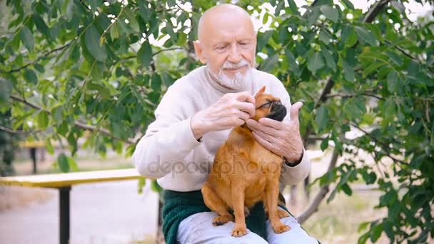 Farfar med en hund av rasen Griffon — Stockvideo