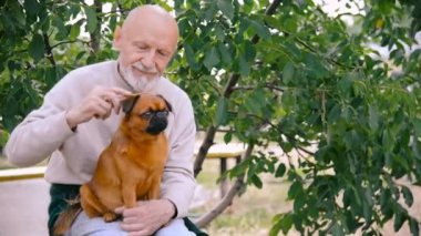 Dedesi ile bir köpek doğurmak Griffon