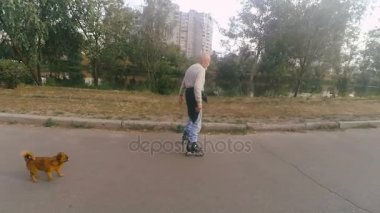 Büyükbaba Griffon doğurmak köpek ile silindir üzerinde rulo