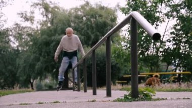 Büyükbaba Griffon doğurmak köpek ile silindir üzerinde rulo