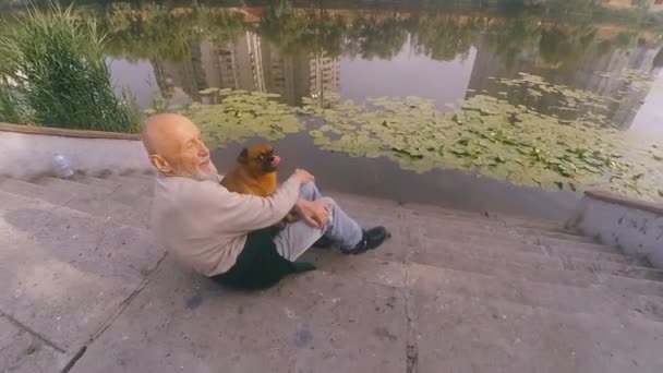 Nonno con un cane della razza Griffon — Video Stock