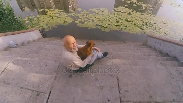 Abuelo con un perro de la raza Griffon — Vídeos de Stock