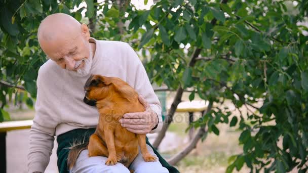 Abuelo con un perro de la raza Griffon — Vídeos de Stock