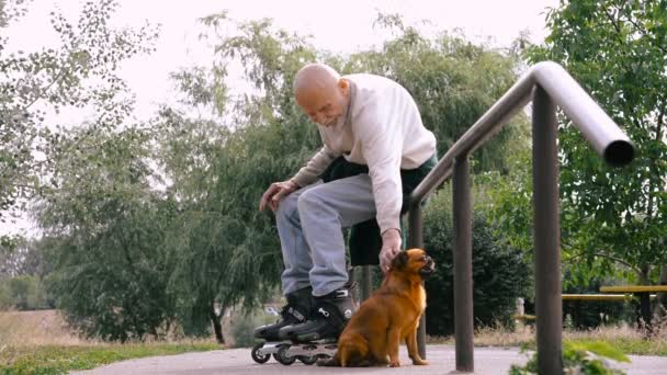 Morfar rullar på rullen med en hund av rasen Griffon — Stockvideo