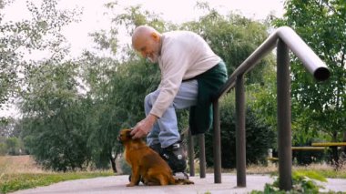 Büyükbaba Griffon doğurmak köpek ile silindir üzerinde rulo