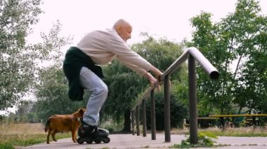 Büyükbaba Griffon doğurmak köpek ile silindir üzerinde rulo