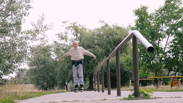 Opa rolt op roller met een hond van het RAS Griffon — Stockvideo