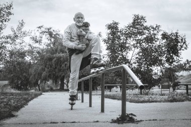 Büyükbaba Griffon doğurmak köpek ile silindir üzerinde rulo