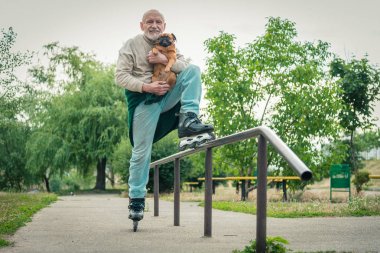 Büyükbaba Griffon doğurmak köpek ile silindir üzerinde rulo