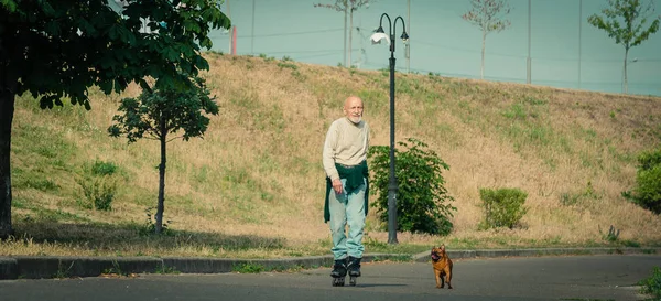 El abuelo rueda sobre el rodillo con el perro de la raza Griffon — Foto de Stock