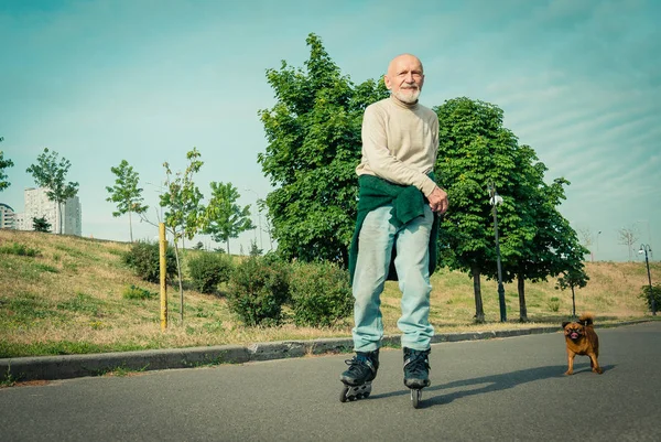 Büyükbaba Griffon doğurmak köpek ile silindir üzerinde rulo