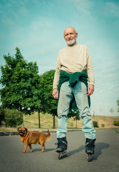 Büyükbaba Griffon doğurmak köpek ile silindir üzerinde rulo