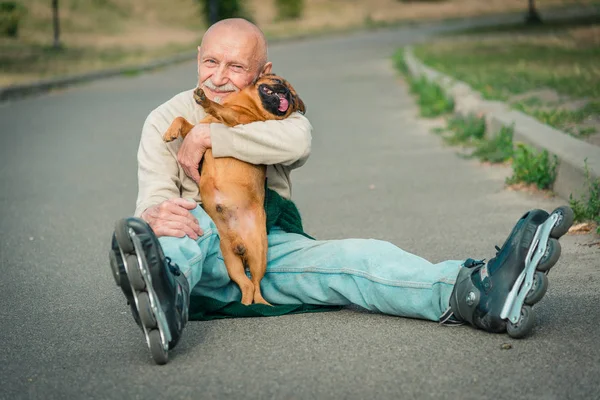 Büyükbaba Griffon doğurmak köpek ile silindir üzerinde rulo