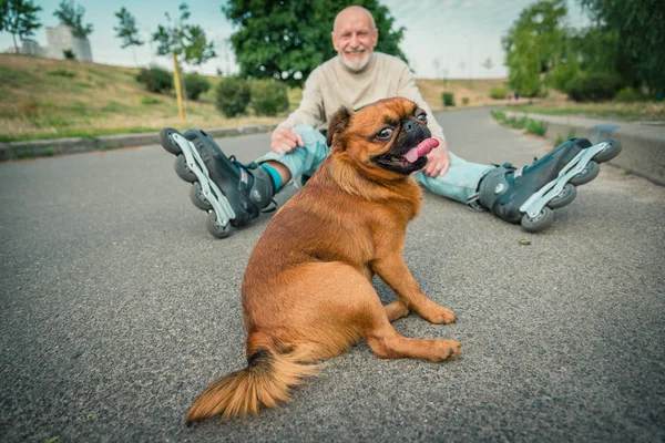 Cachorro idoso e feliz é eleito o 'mais feio do mundo' - Fotos - R7 Hora 7