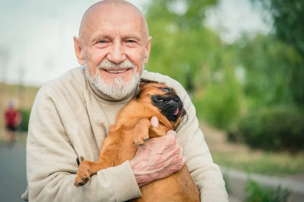 Grandfather with a dog of the Griffon breed — Stock Photo, Image