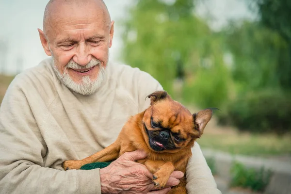 그리 폰 품종의 강아지와 함께 할아버지 — 스톡 사진