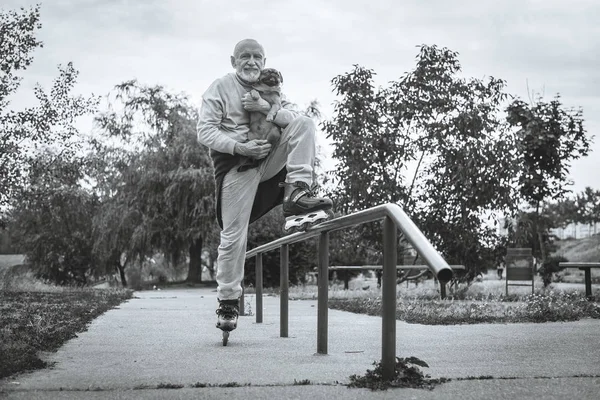 Büyükbaba Griffon doğurmak köpek ile silindir üzerinde rulo