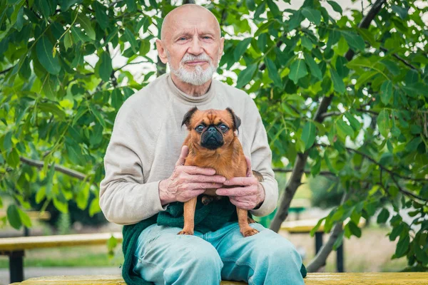 Abuelo con un perro de la raza Griffon — Foto de Stock