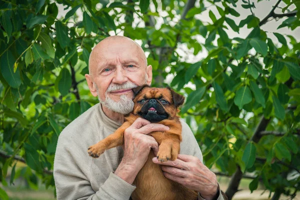 Dedesi ile bir köpek doğurmak Griffon