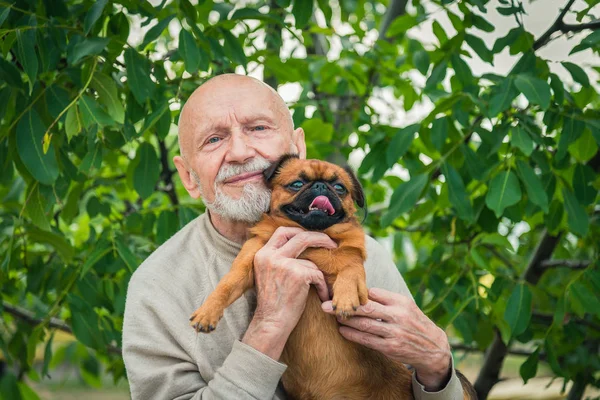 Grandfather with a dog of the Griffon breed — Stock Photo, Image