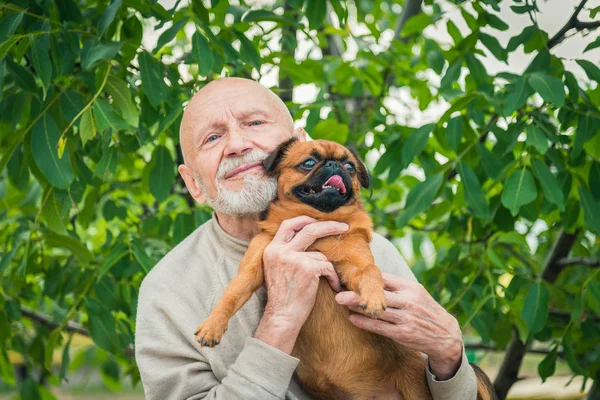 Isoisä Griffon-rodun koiran kanssa — kuvapankkivalokuva