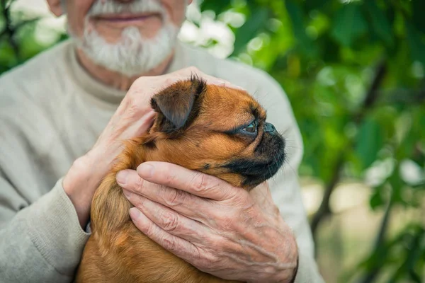 Großvater mit einem Hund der Rasse Gänse — Stockfoto