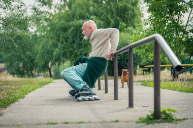 Büyükbaba Griffon doğurmak köpek ile silindir üzerinde rulo