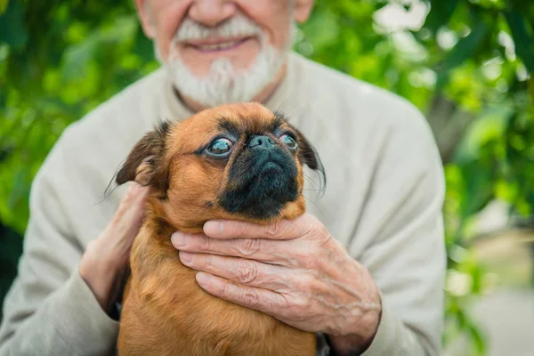 Grandfather with a dog of the Griffon breed — Stock Photo, Image