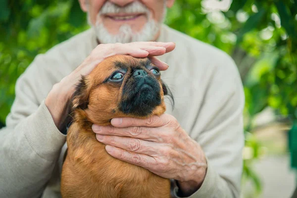 Dedesi ile bir köpek doğurmak Griffon