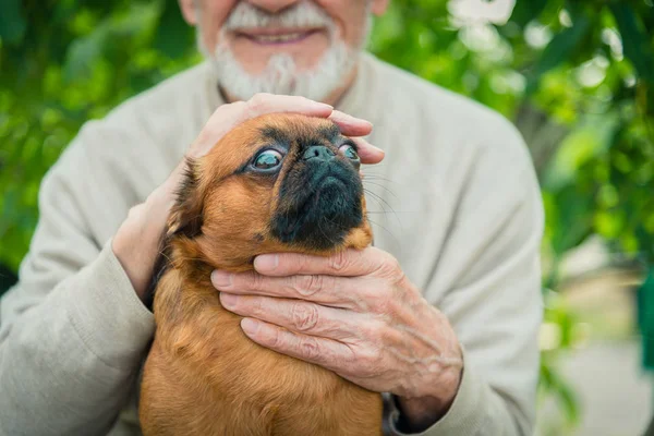 Grand-père avec un chien de la race Griffon — Photo