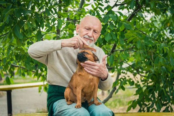 Opa met een hond van het RAS Griffon — Stockfoto