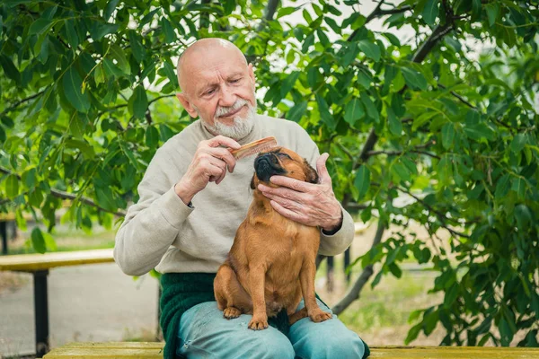 Dedesi ile bir köpek doğurmak Griffon