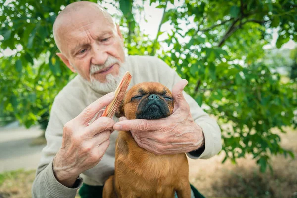 Dedesi ile bir köpek doğurmak Griffon