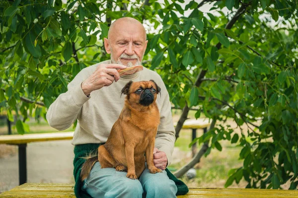 Farfar med en hund av rasen Griffon — Stockfoto