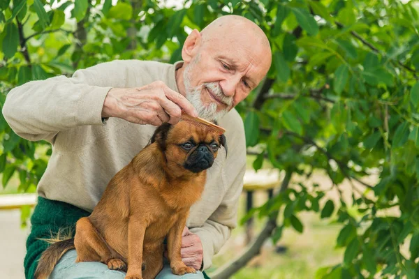 Abuelo con un perro de la raza Griffon — Foto de Stock