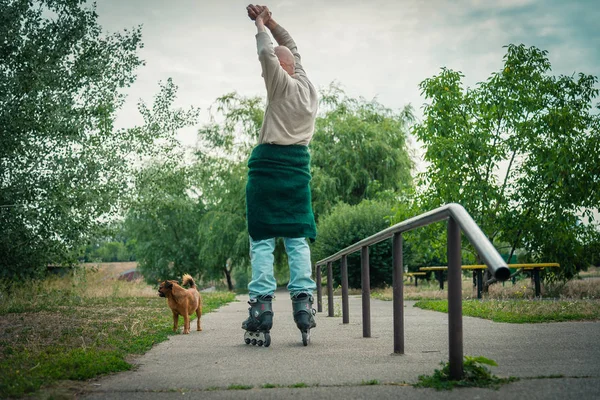 Дедушка катается на роликах с собакой породы Грифон — стоковое фото